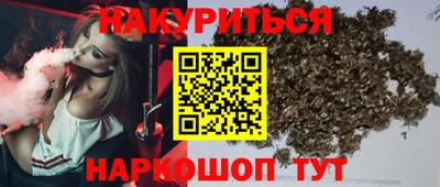 мдпв Можга