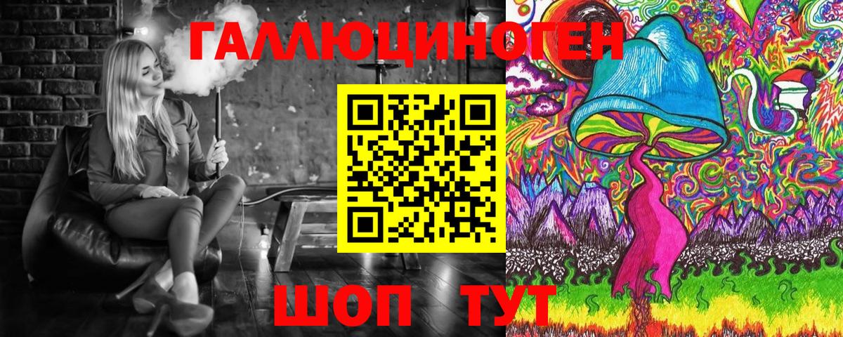 Псилоцибиновые грибы Psilocybe  даркнет сайт  Гусиноозёрск  Псилоцибиновые грибы мухоморы 