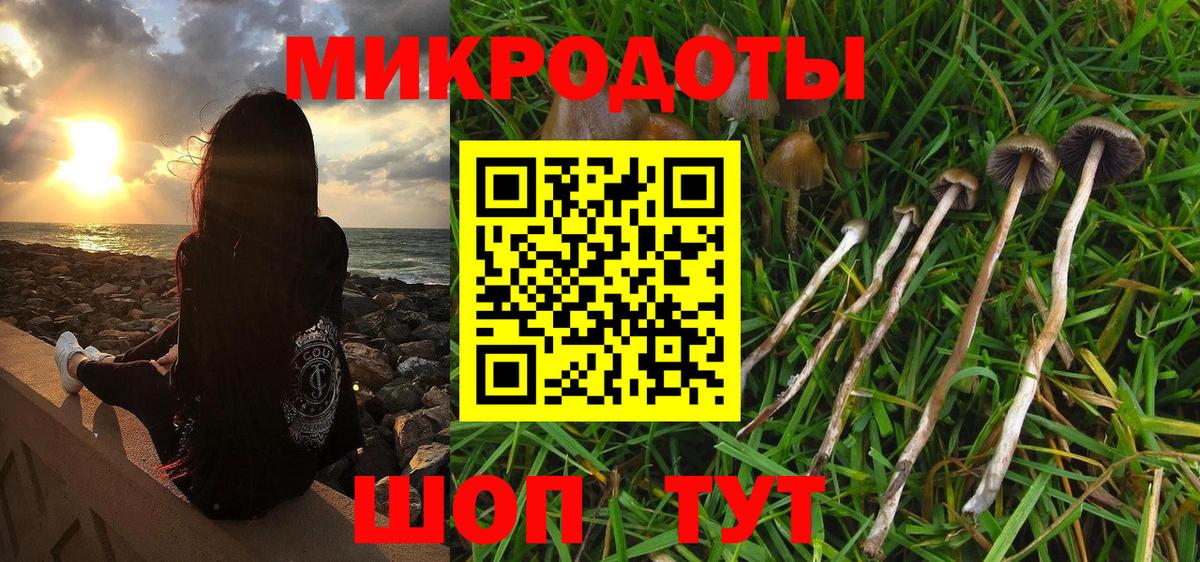 Псилоцибиновые грибы ЛСД Гусиноозёрск