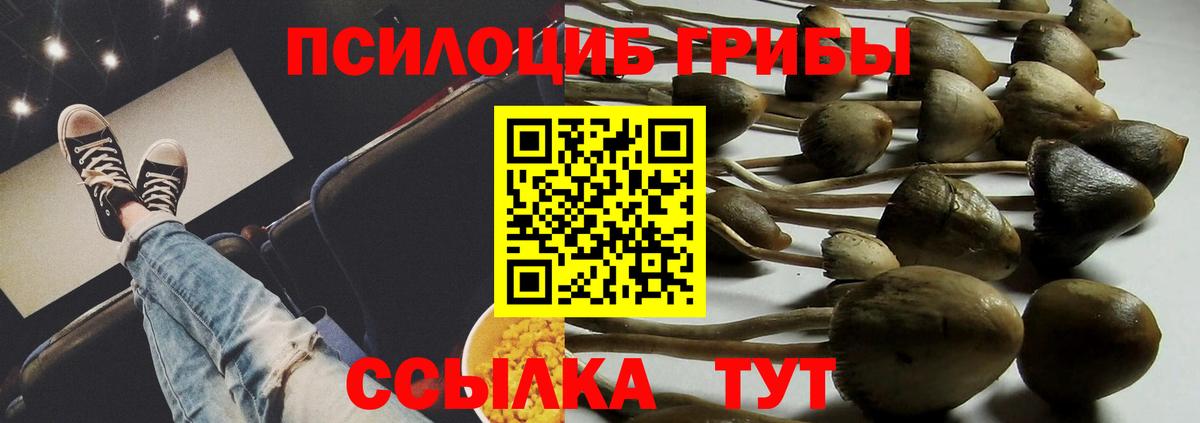 Псилоцибиновые грибы мухоморы  Вход с VPN  Гусиноозёрск  купить наркоту  Псилоцибиновые грибы Psilocybe 