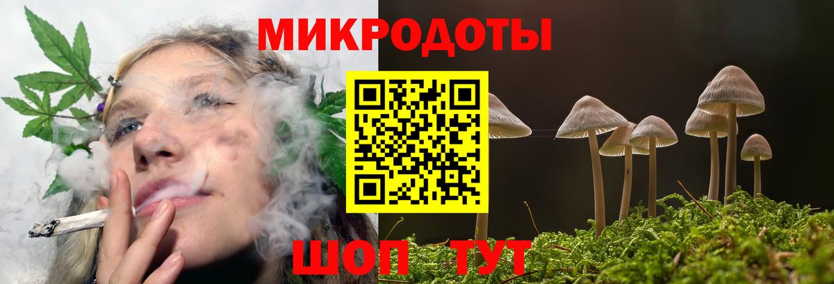 Галлюциногенные грибы MAGIC MUSHROOMS Гусиноозёрск