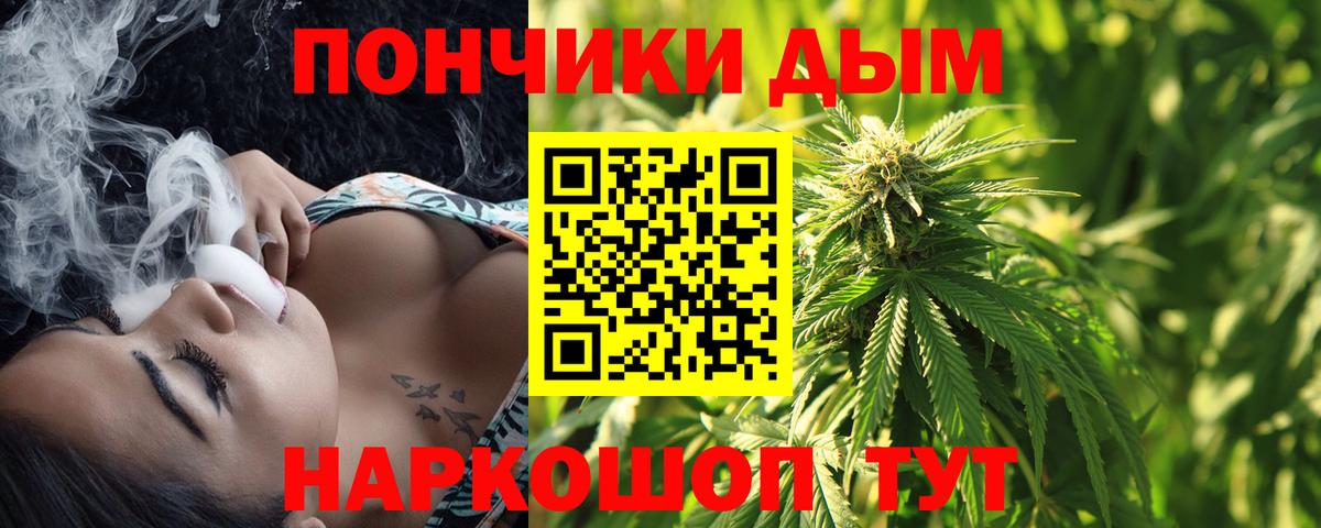 Каннабис семена  Вход с VPN  Канабис Bruce Banner  Бошки марихуана семена  Гусиноозёрск 